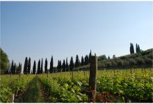 Valpolicella
